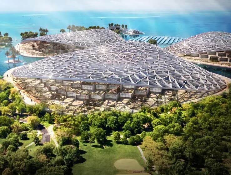 Dubai Launches the World’s Largest Ocean Restoration Project
