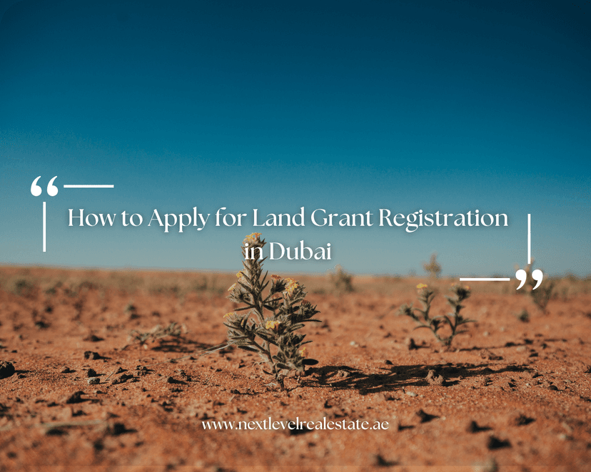 Dubai Land Grant Registration Process: A Complete Guide