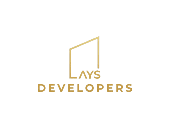 Developer