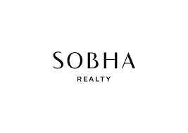 Developer