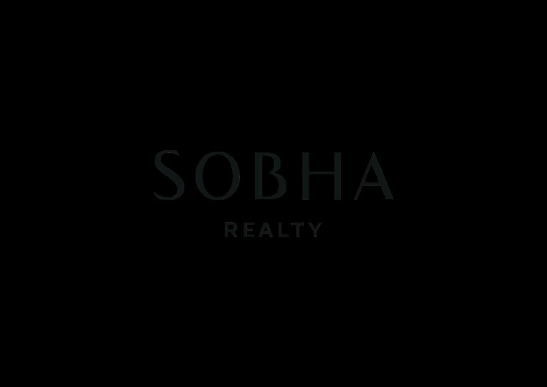 Developer