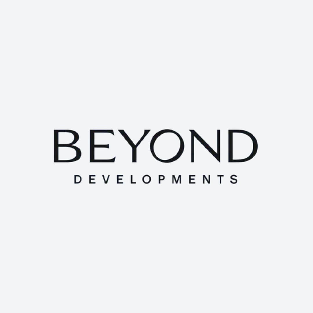 Developer
