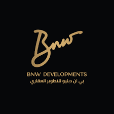 Developer