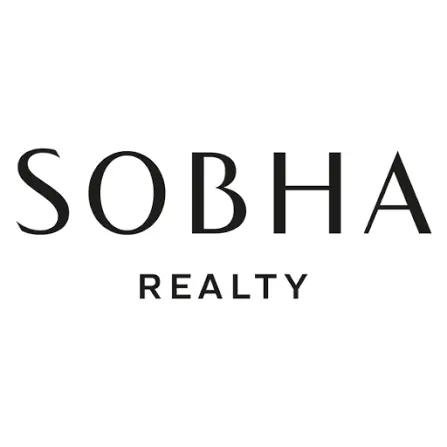 Developer