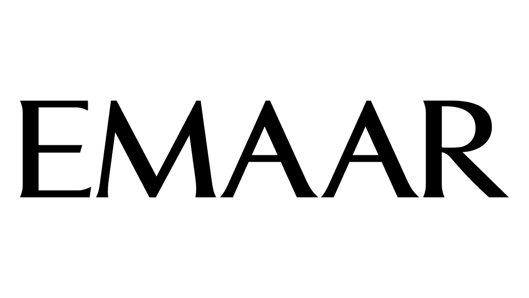 Developer