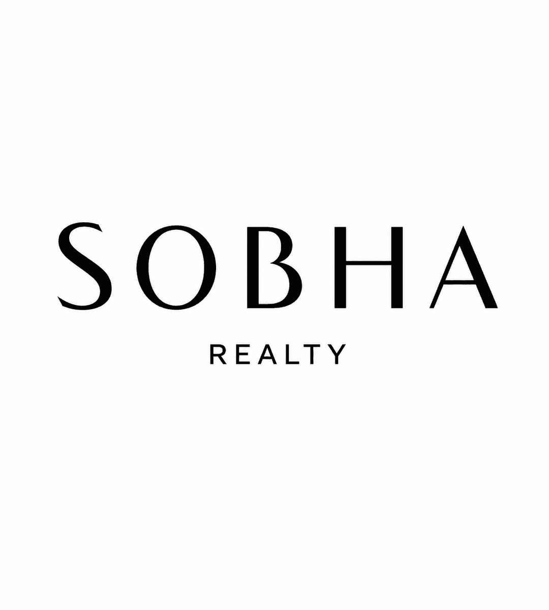 Developer