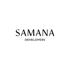 Developer